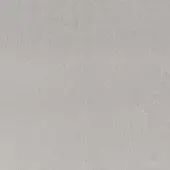 306891 - SILVER